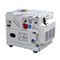 Home Use Gasoline Generator (GG6500S)